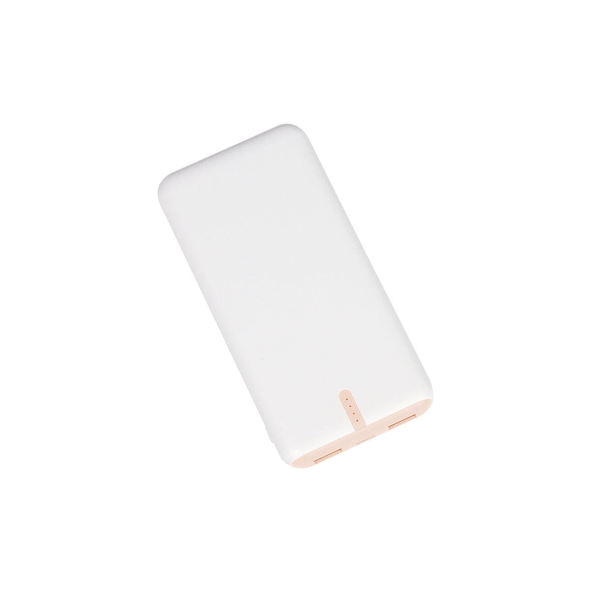Power bank Renard