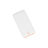 Power bank Renard